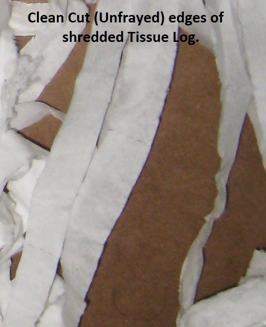 tissue shredder tissue.jpg